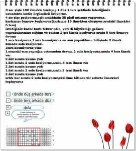 yapraklı-örgü-bere-modeli-yapılışı-anlatımlı-1 | Akıllı Hayat İstanbul Tepeden büzüşen yapraklı örgü bere modeli yapılışı Anlatımlı