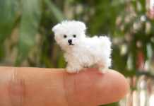 Minyatür örgü oyuncak köpek modelleri