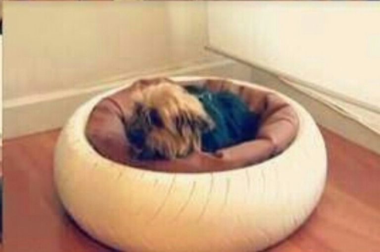 Araba lastiği ile hayvan yatağı yapılışı