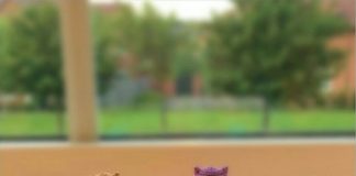 Amigurumi hediyelik örgü baykuş modeli yapılışı anlatımlı