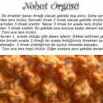 Nohut Örgü Tekniği (resimli ve anlatımlı)