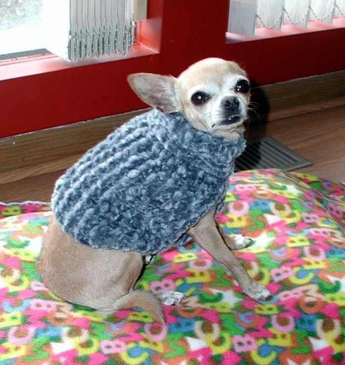 örgü köpek giysisi modelleri örgü köpek giysisi modelleri
